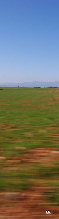 Album - Valensole-et-ses-environs