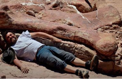 Patagotitan mayorum, le (nouveau) plus grand dinosaure au monde