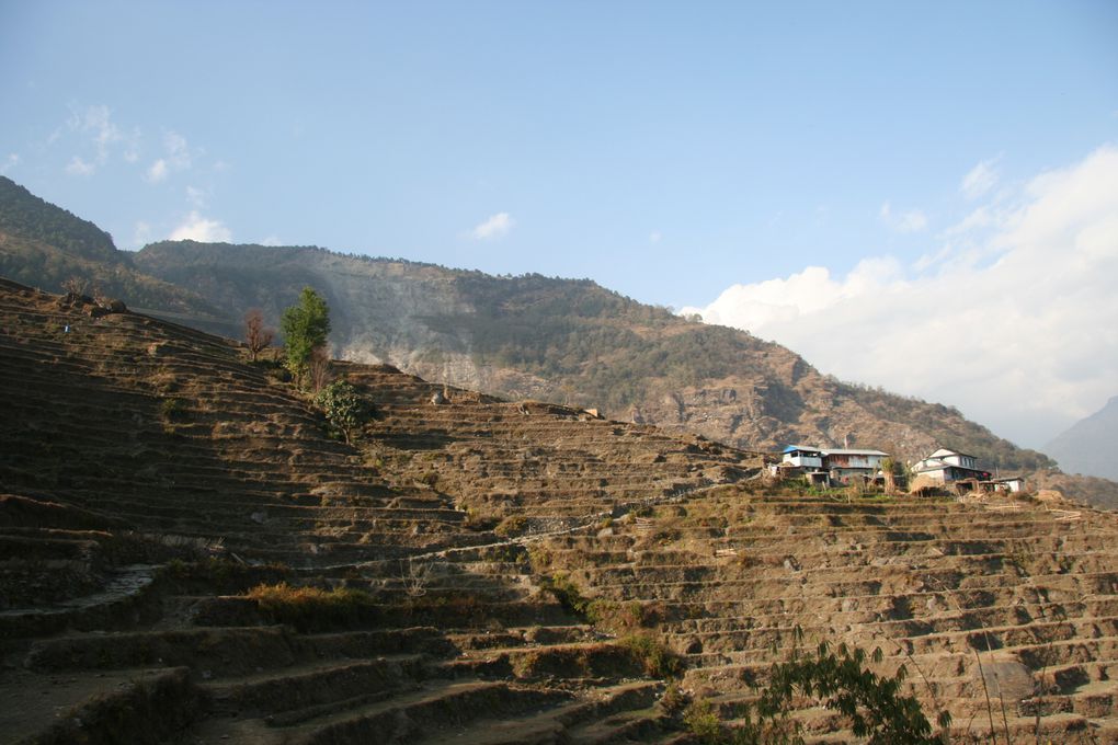 Album - Trek vers l'Annapurna Sud