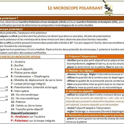 Utiliser le microscope polarisant