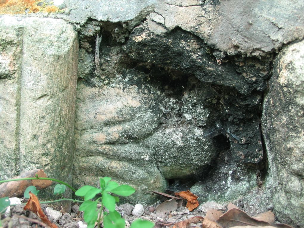 13 - Nous sommes observés... Gargouilles et modillons témoigneront....