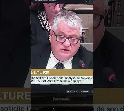 Vidéo /Perpignan / conseil municipal André Bonet tacle l'ex directeur du théâtre de l'archipel Borja Sitja! par Robert Dainar