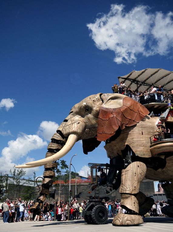 Eléphant de l'Ile de Nantes Royal de Luxe - Photos Thierry Weber Photographe La Baule Guérande