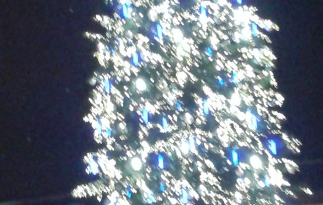 Illuminations sapin Strasbourg 2015
