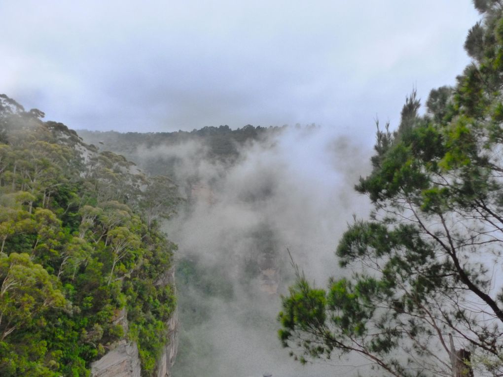 Album - Australie---Blue-Mountains