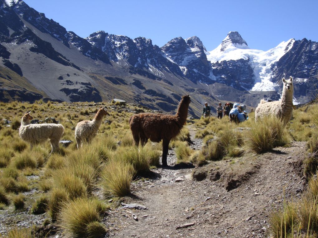 Album - Bolivie