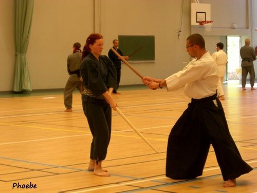 Stage International de kenjutsu, Saint-Brice (95)