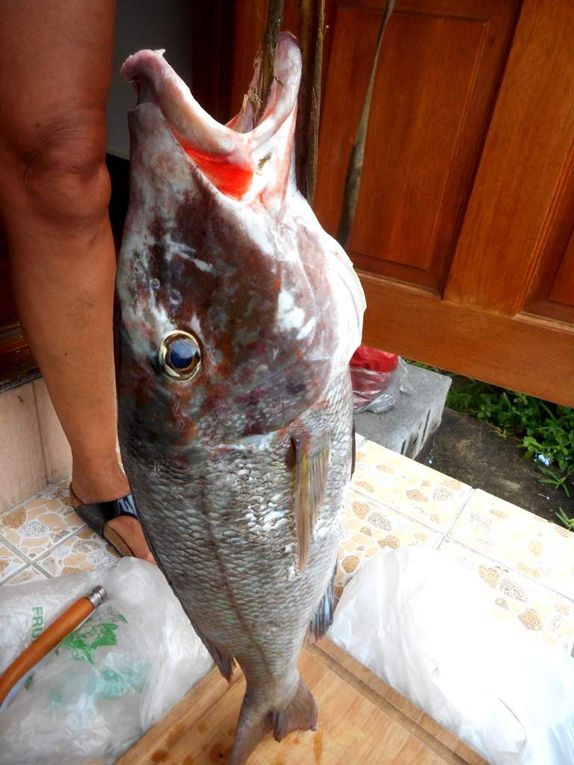 A ce propos, Chaque Fare est dité d'un BBQ; Ce poisson de plus de 5kg, acheté en bord de route nous a régalé (un futur article sera consacré à la gastronomie et aux très beaux produits locaux)