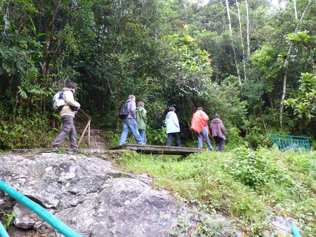 Ranomafana, Anja, Isalo : les 3 parcs que nous avons découverts le long de la RN7.