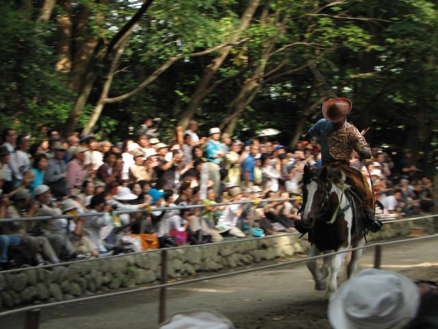 Yabusame est n&eacute; il y a 800 ans &agrave; Kamakura. C'est comme le tir &agrave; l'arc en prendant le cheval. Il y a trois cibles. Cela a commenc&eacute; pour excercer la technique d'arc.<br/>
Ce festival est &agrave; Tsurugaoka Hachimangu &agrave; Kamakura &agrave; Kanagawa le 16 Septembre chaque ann&eacute;e.<br/>