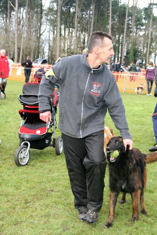 Album - 12-Concours-Agility-La-Martyre-10-03-2013-2