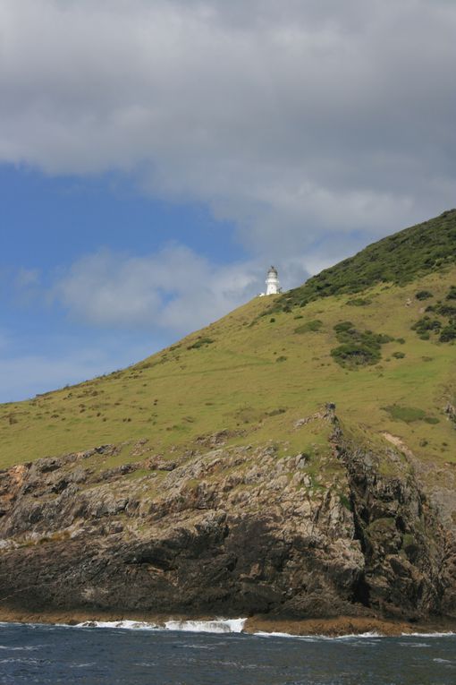 Album - The-Northland