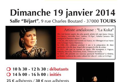 Stage Flamenco dimanche 19 janvier 2014