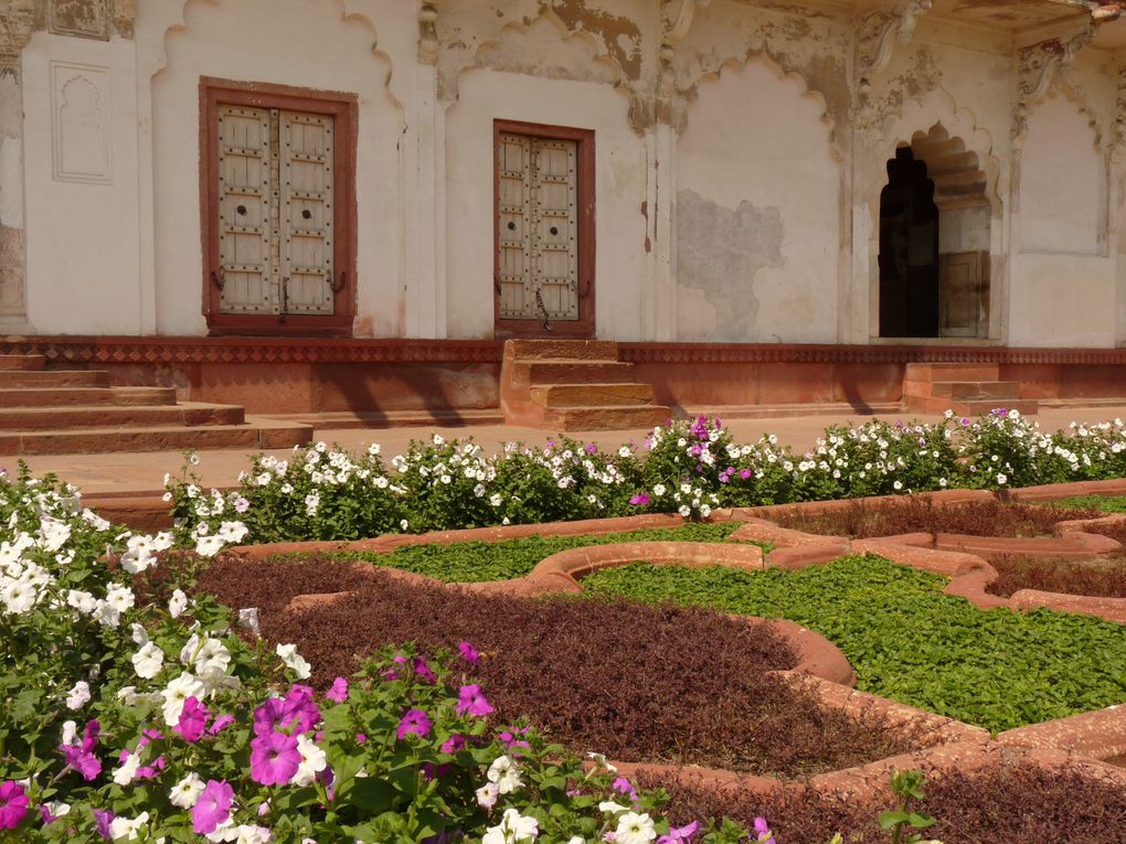 Album - AGRA-et-le-TAJ-MAHAL