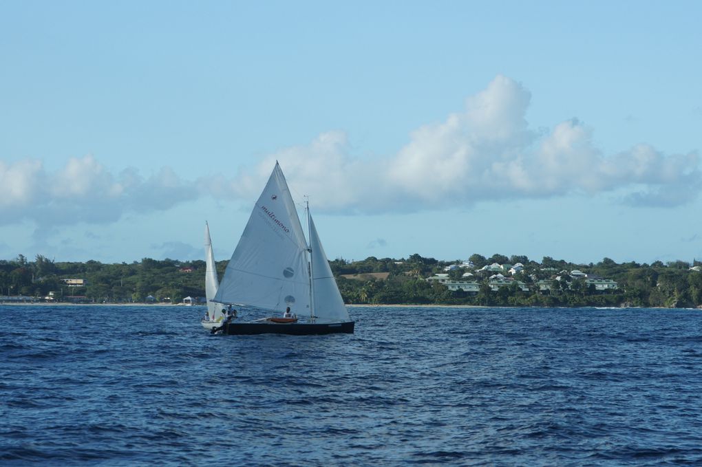 Album - Trophee-Open-Voile-de-St-Francois-2011-2