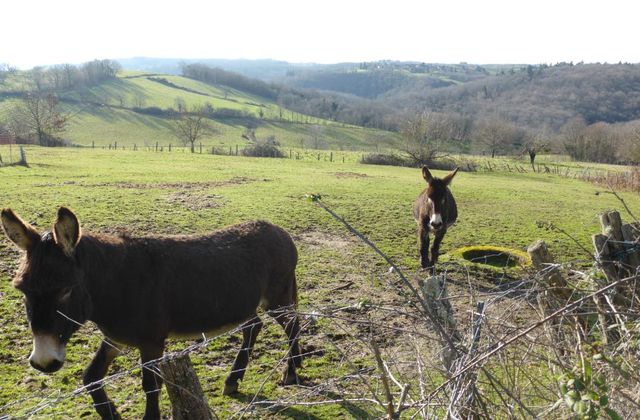 L'hiver et les paysages