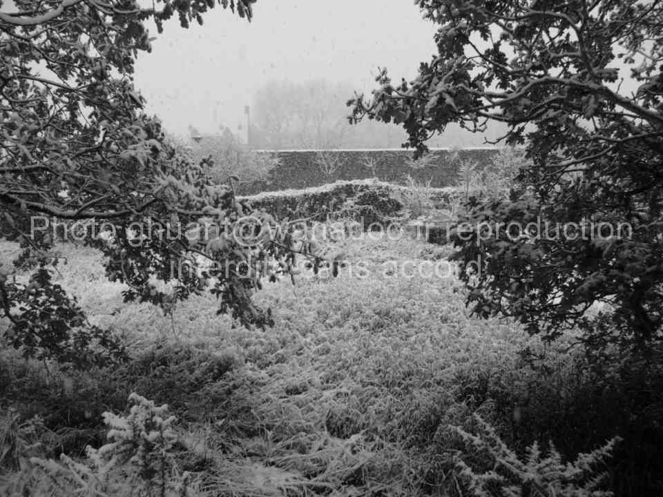 L'abbaye de Beauport le 1er décembre 2010 sous la neige. Mais les plus grosses chutes étaient encore à venir...