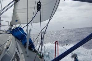 Retour (suite) aux allures plus paisibles...