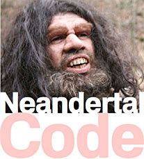 Combien de dents avait Néandertal?