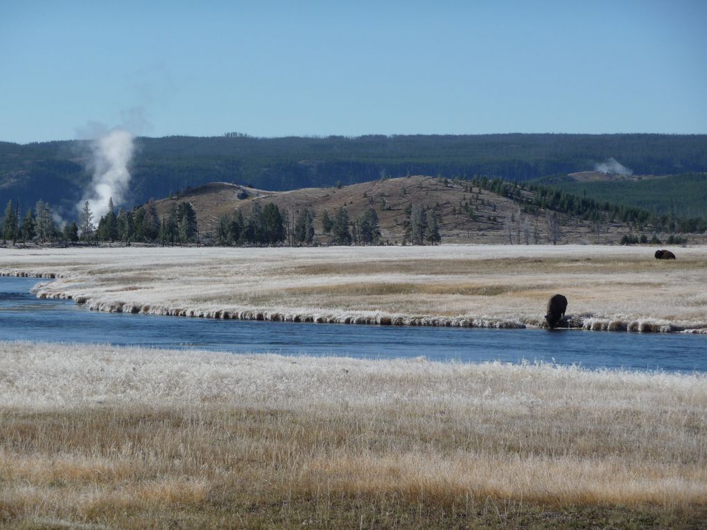 Album - 15.Yellowstone (Wyoming-octobre)