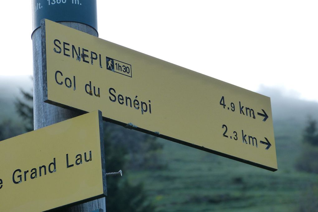 Col de Sénépi... 