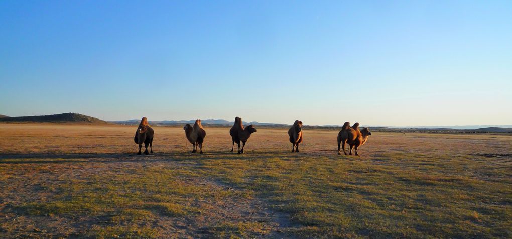 Album - Mongolie