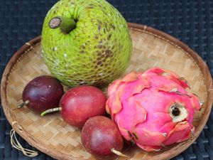Bavarois de Fruit à Pain à la Vanille Bleue sur sa gelée Passion, Billes fraîches de Pitaya et Feuilles de Caramel#Bataillefood41