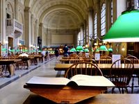C'est sûrement la couleur la plus présente dans la nature. Associé à juste titre au monde végétal qui est son plus digne représentant, le vert est une couleur apaisante, rafraîchissante et même tonifiante. Dans la culture occidentale, on l'associe à l'espoir et à la chance. Voilà, tout est dit !!!