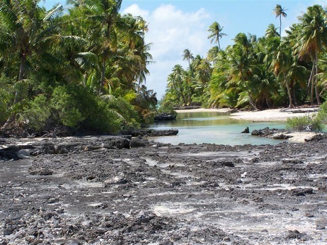 Voici quelques photos de notre 1er jour à Mataiva.