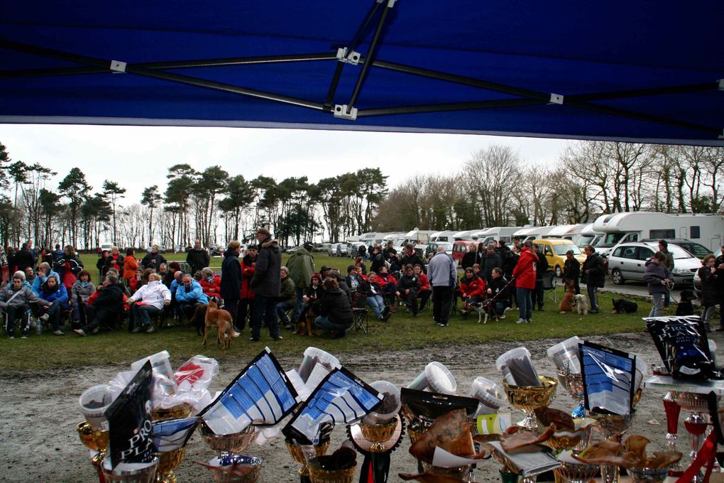 Album - 12-Concours-Agility-La-Martyre-10-03-2013-2