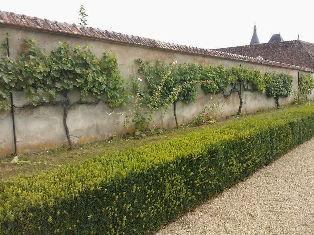 Jardins remarquables du Château d'Azay-le-ferron