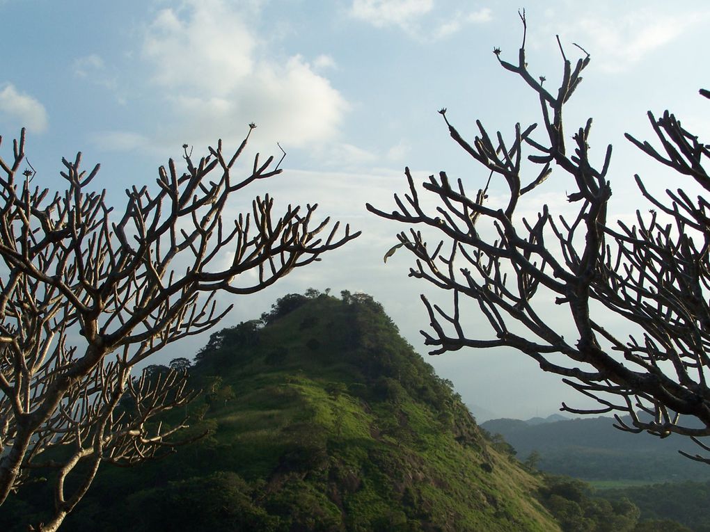 Sigirya et Dambulla