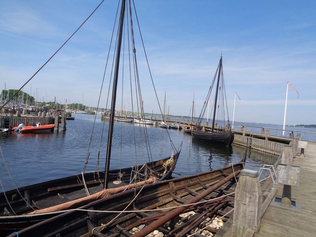 le muséé des bateaux vikings de Roskilde