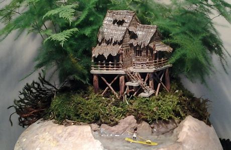 Maison miniature dans foret d asparagus et pecheur sur lac