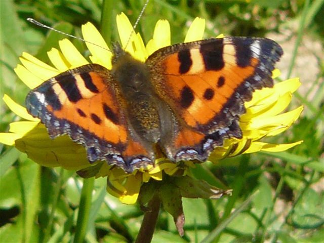 Album - beautés-de-la-nature