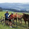 Le Doubs, la terre de prédilection du VTT