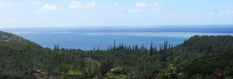 Randonnée de la route à Horaires de Yaté