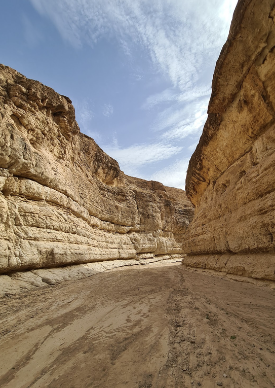 Excursion dans le désert tunisien