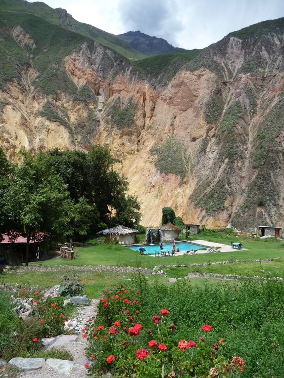 Album - 43.Canyon de Colca (Perou-Janvier)