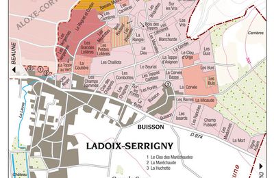 Les Corton situés sur le village de Ladoix-Serrigny