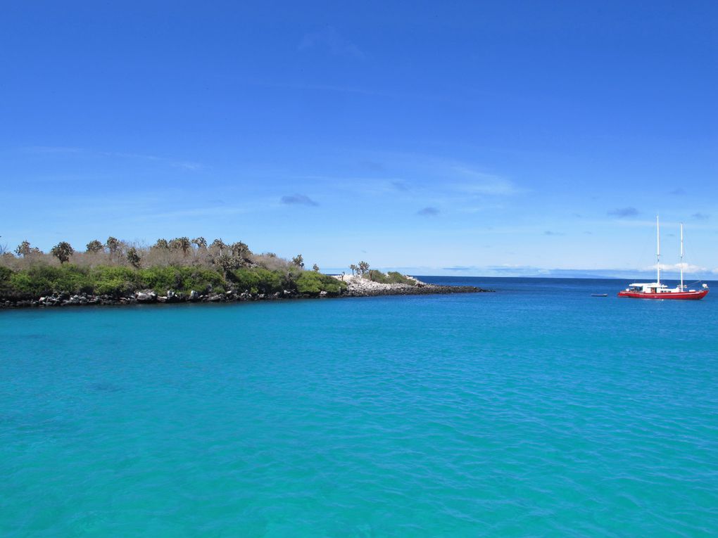 Une expérience unique au coeur de la faune et flore si bien préservées de l'archipel des Galapagos : si possible à faire une fois dans votre vie