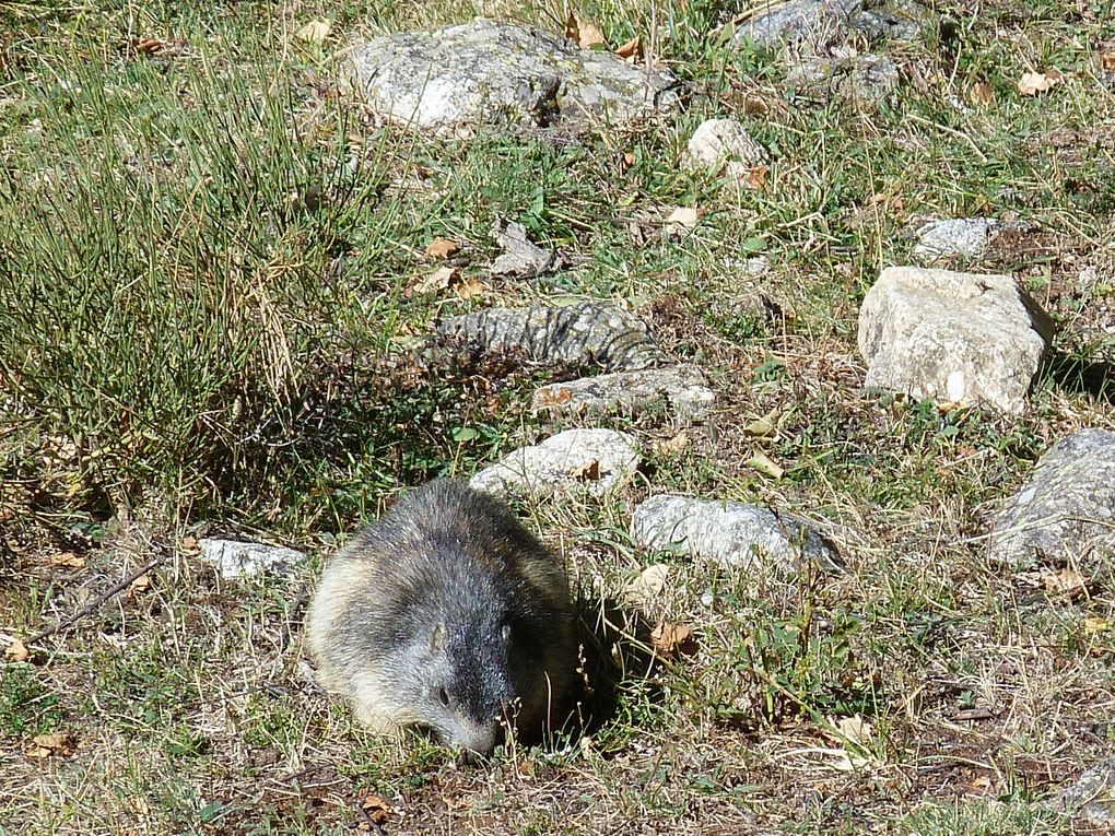 Album - Rando-2012-Font-Romeu