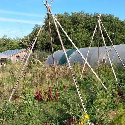 Le site internet est en ligne ! 