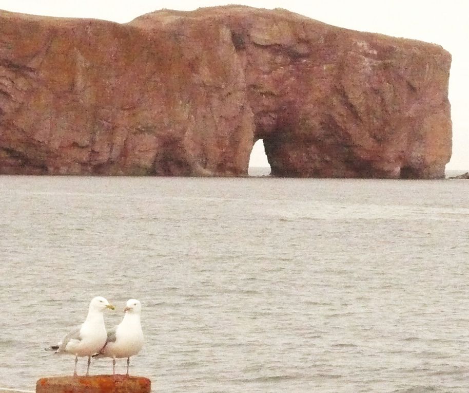 Album - Gaspésie