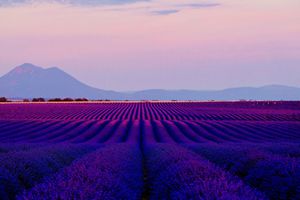 LES COULEURS DE LA PROVENCE 🇫🇷