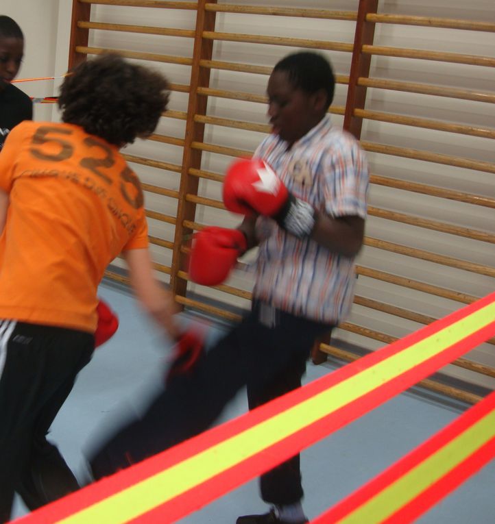 Photos des compétitions, entraînements de Boxe