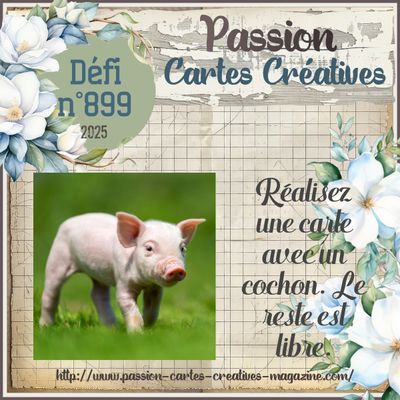 Défi N°899 de PCC & mug