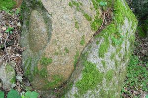 Sortie Roches des Vaux 24.10