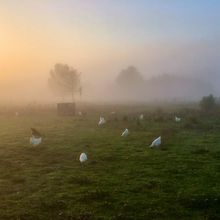 La ferme du coin