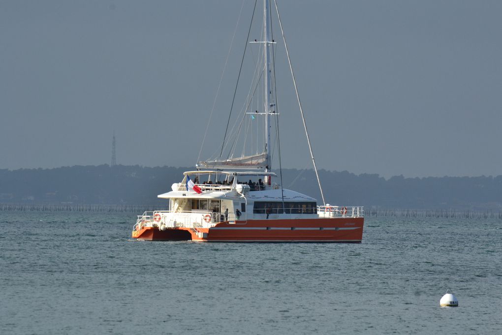 Un petit tour sur le bassin d'Arcachon .